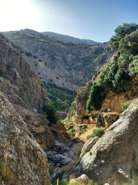 Cave Holidays Andalucia Los Carriones Exterior photo